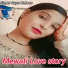 About Mewati Love Story Song